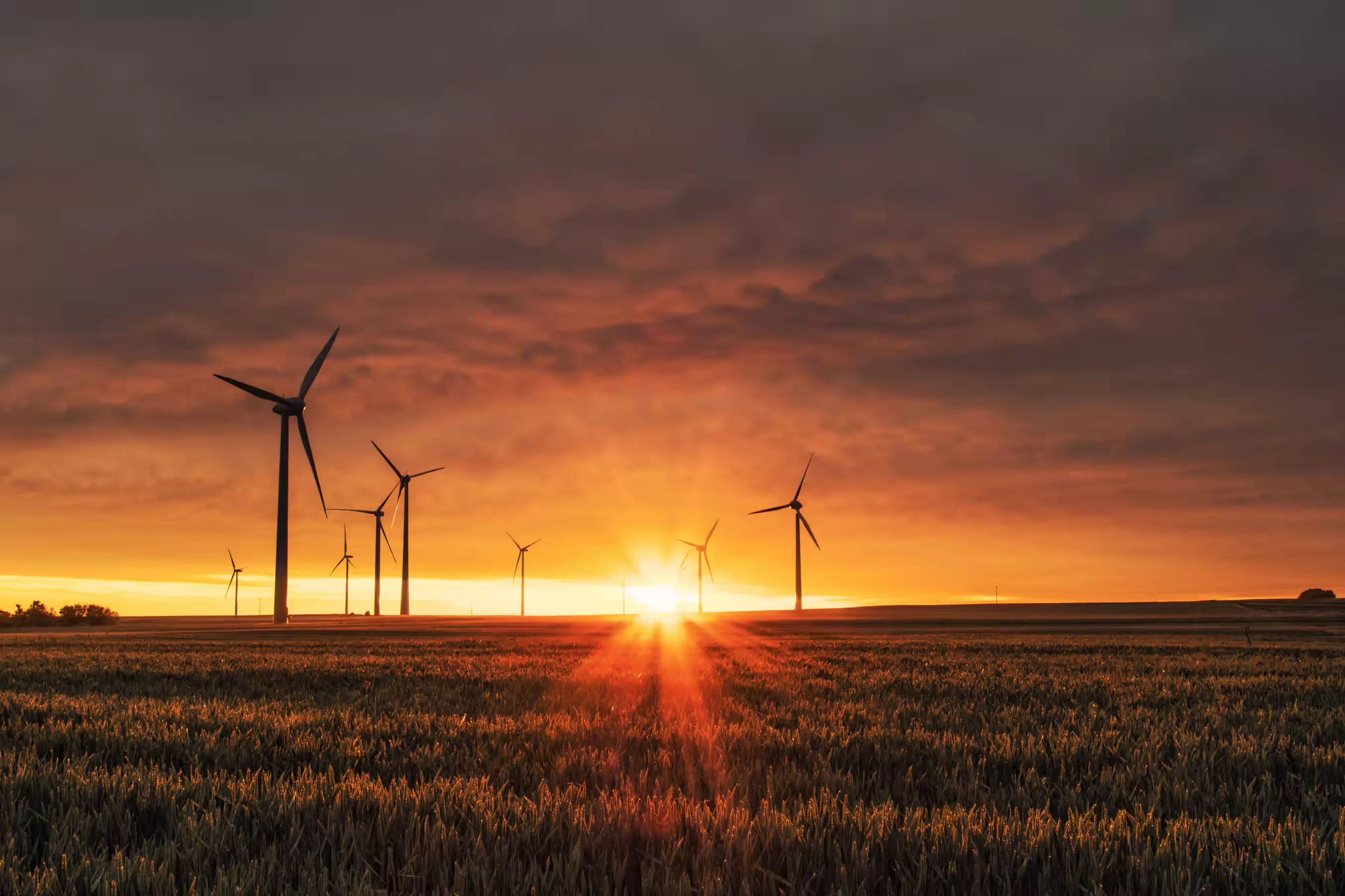 Clean Energy Innovation